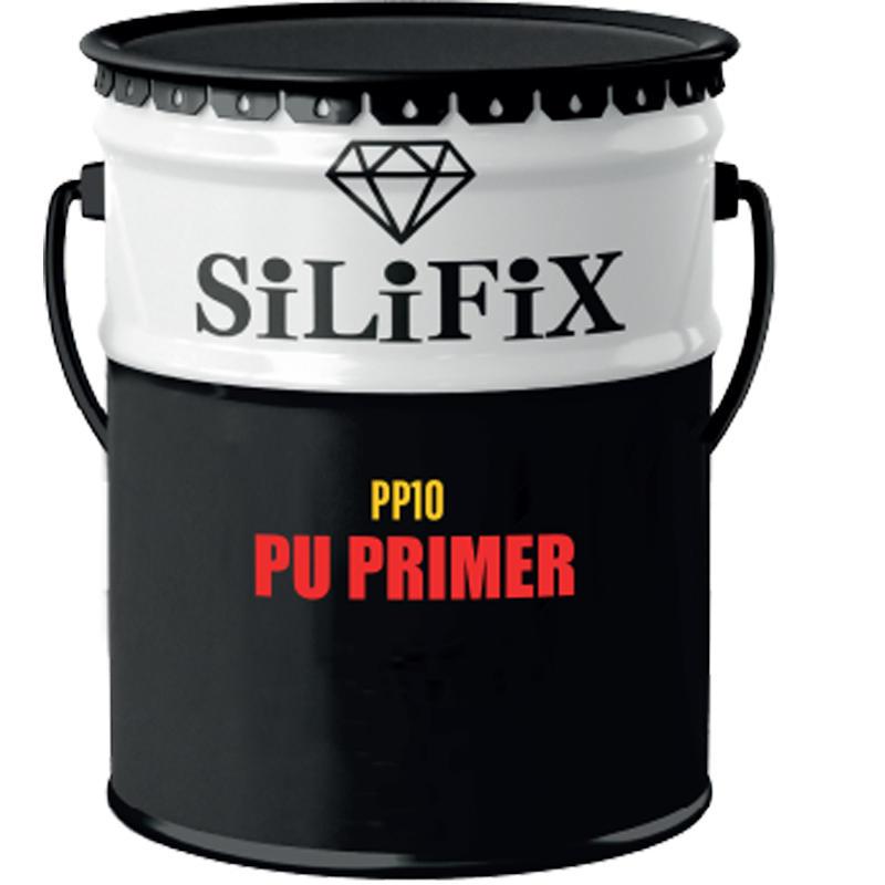 pp10